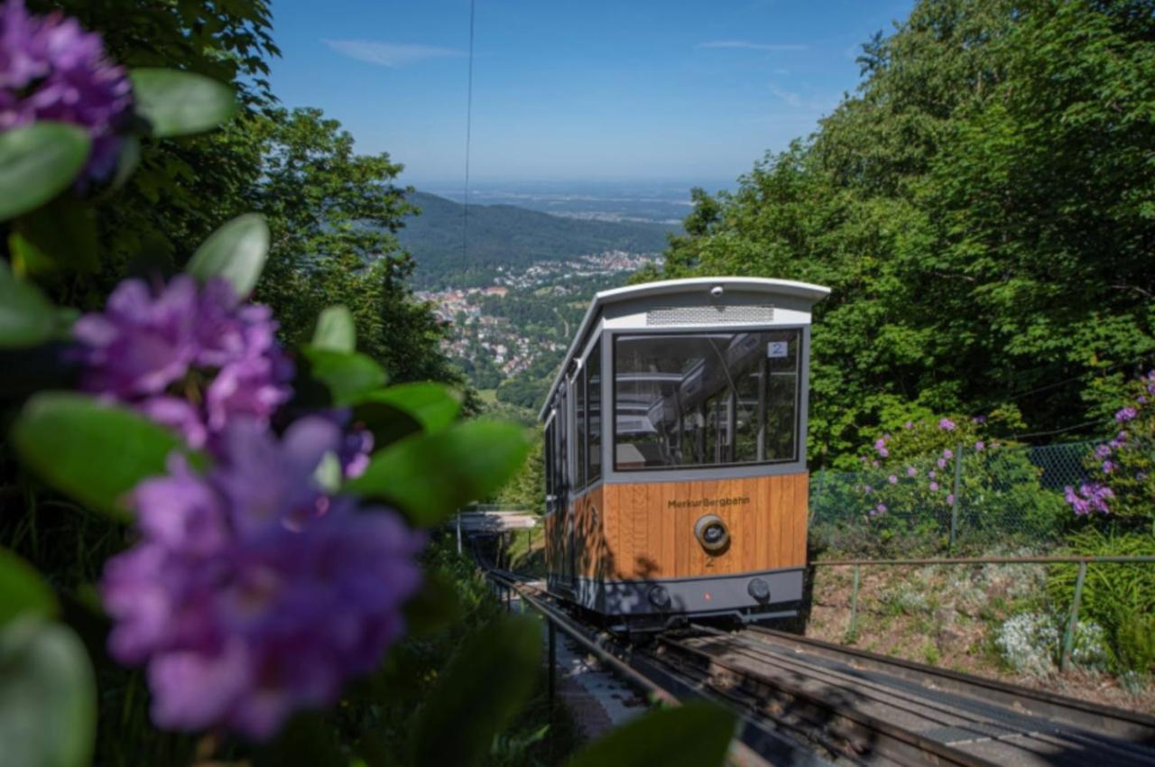 Luxus Apartment Am Fremersberg - Zentral - Mit Sauna & Badewanne Baden-Baden Kültér fotó